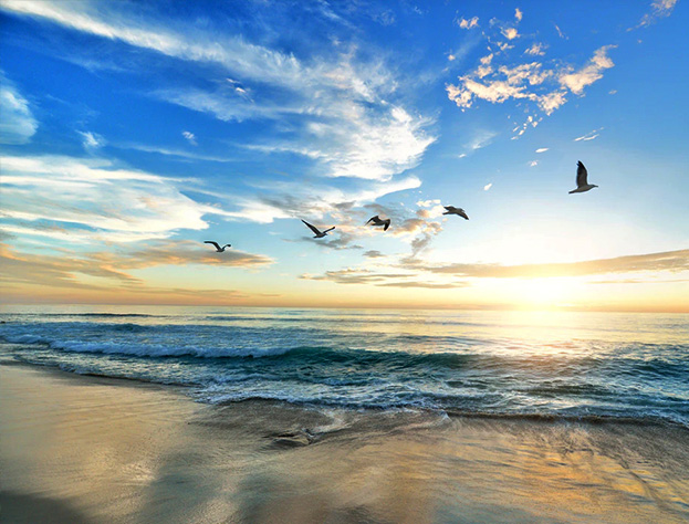 ������Ե-����