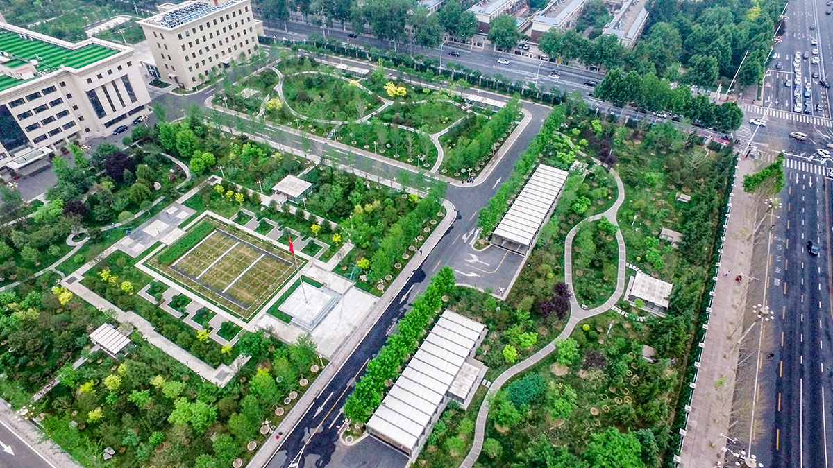 ������Ե-����