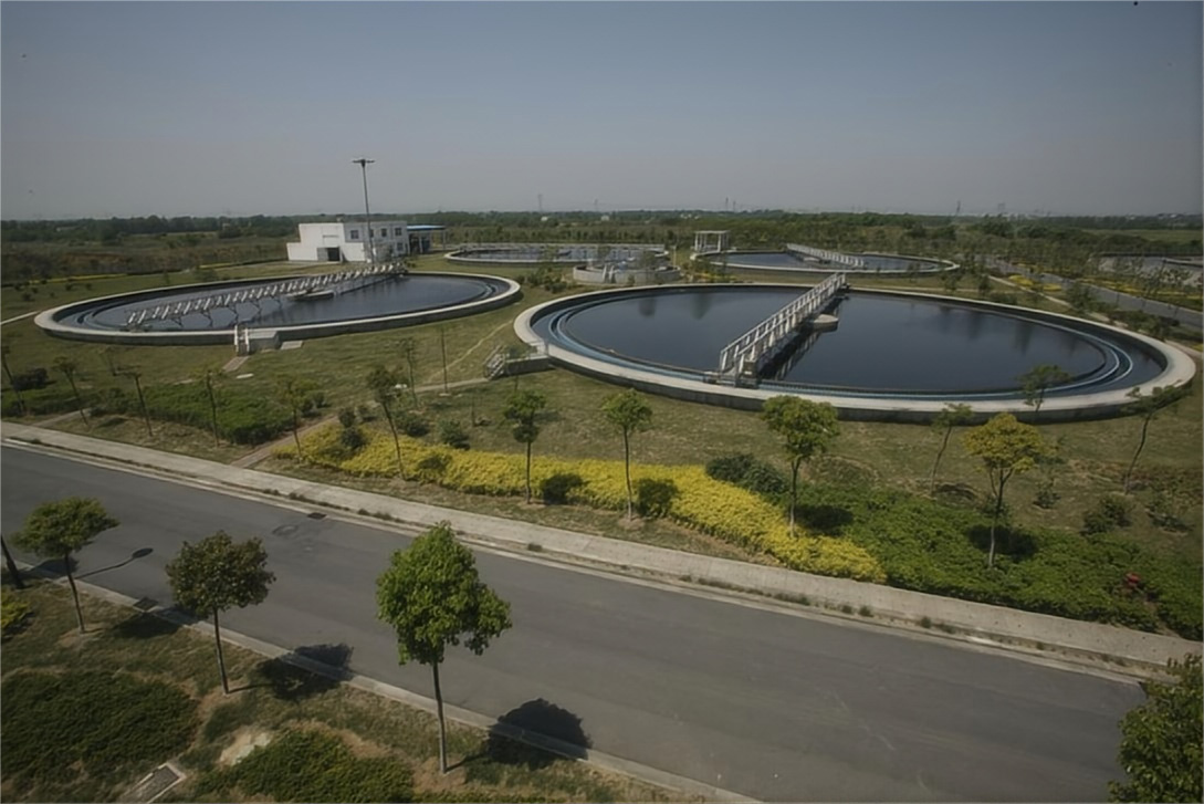 ������Ե-����