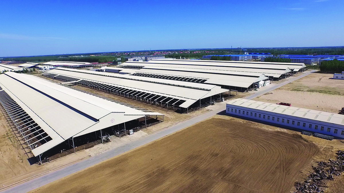 ������Ե-����