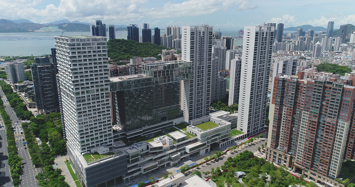 ������Ե-����