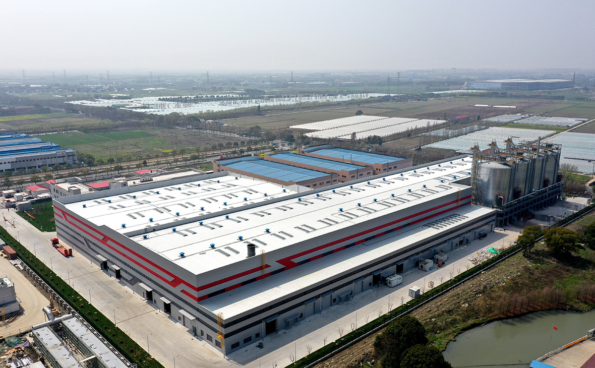 ������Ե-����